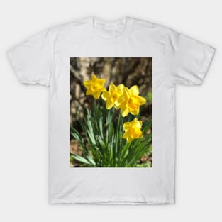 Daffodils T-Shirt